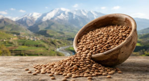 عدس محلی و ارگانیک